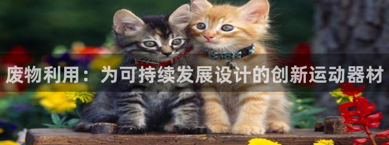 凯捷体育官方