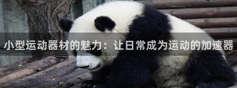 凯捷体育软件：小型运动器材的魅力：让日常成为运动的加