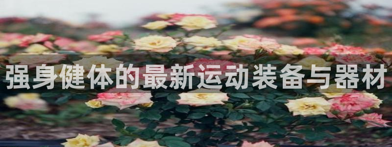 凯捷体育代理：强身健体的最新运动装备与器材