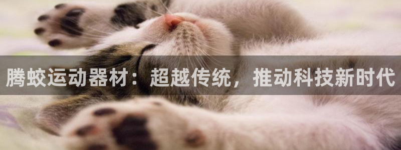 凯捷体育平台注册要钱吗安全吗：腾蛟运动器材：超越传统