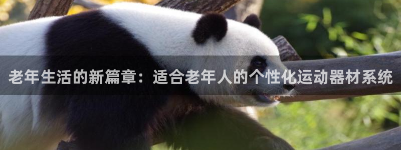 凯捷体育开户