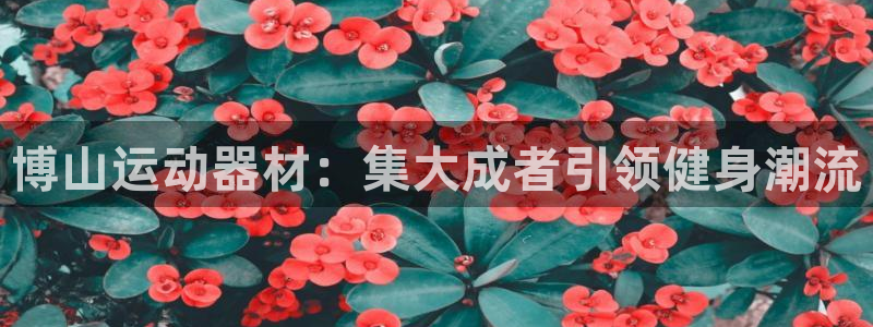 凯捷体育平台注册流程图：博山运动器材：集大成者引领健身潮流