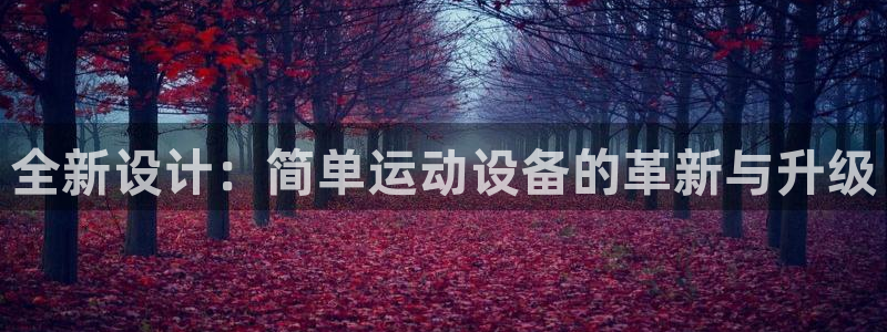 凯捷体育集团官网网址：全新设计：简单运动设备的革新与