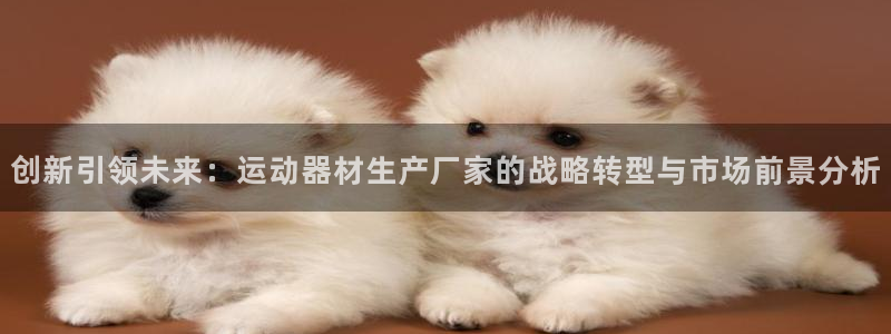 凯捷体育招商电话地址查询：创新引领未来：运动器材生产