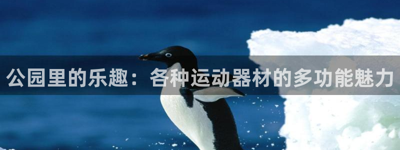 凯捷体育联系电话
