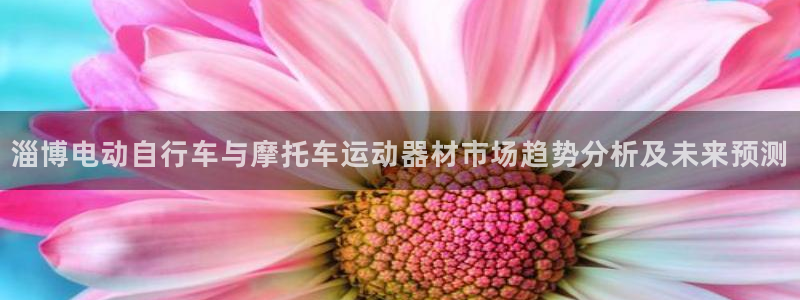 注册凯捷体育：淄博电动自行车与摩托车运动器材市场趋势分析及未