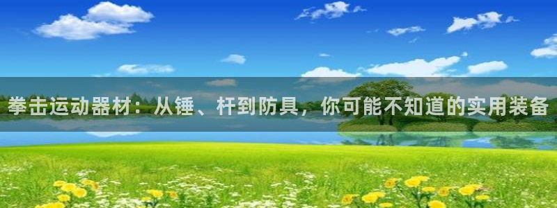 凯捷体育招商电话号码：拳击运动器材：从锤、杆到防具，你可能不