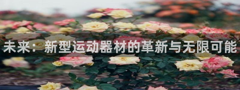 凯捷体育娱乐40996