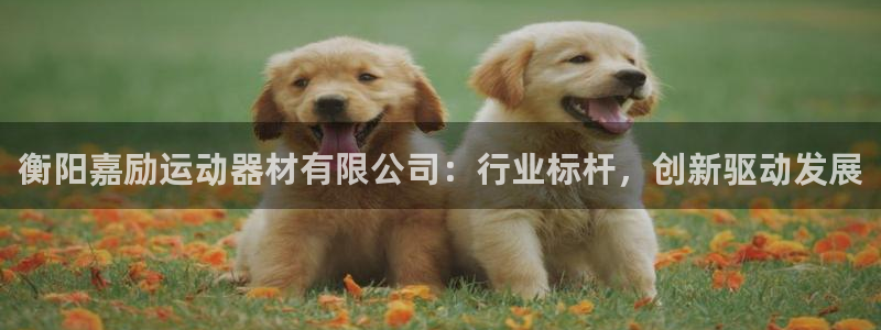 凯捷体育招商电话号码是多少号：衡阳嘉励运动器材有限公司：行业