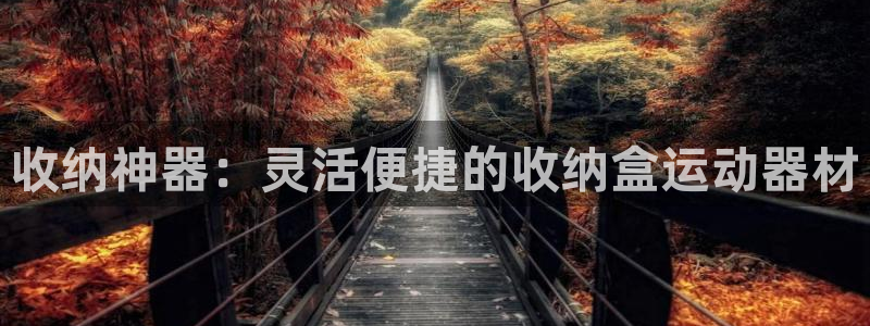凯捷体育平台注册：收纳神器：灵活便捷的收纳盒运动器材