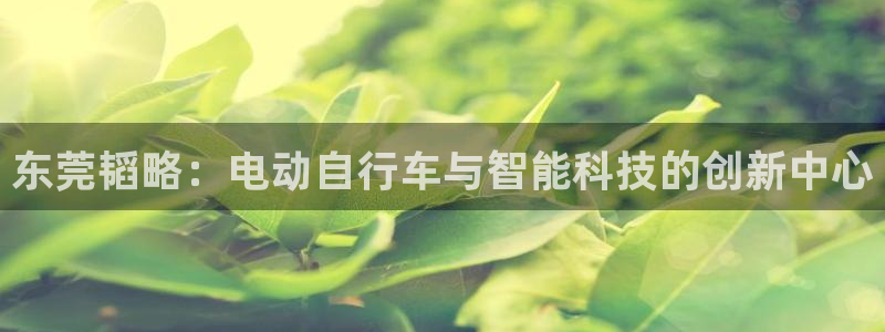 凯捷体育招商电话地址是多少：东莞韬略：电动自行车与智能科技的