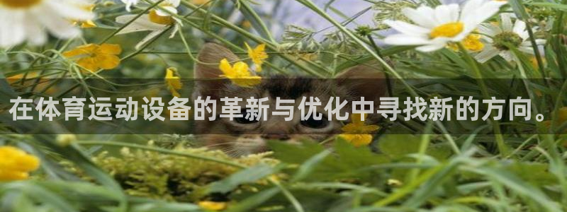 凯捷体育招商电话是多少号码