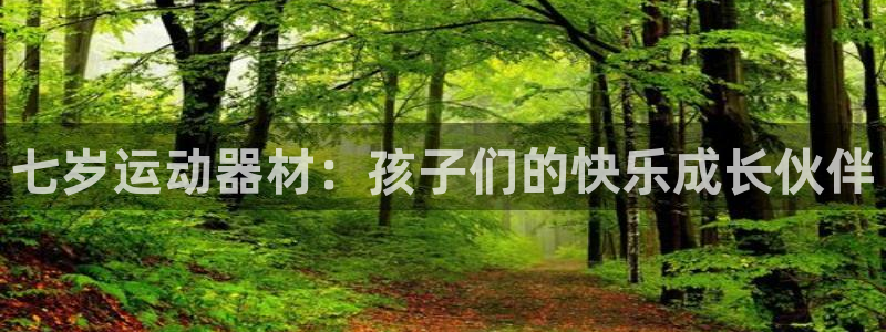 凯捷体育娱乐：七岁运动器材：孩子们的快乐成长伙伴