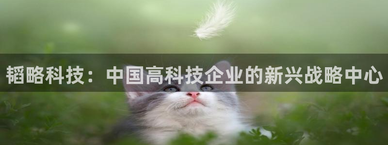 凯捷体育平台APP：韬略科技：中国高科技企业的新兴战略中心