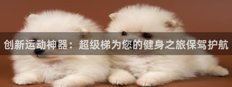凯捷体育招商电话号码是多少啊：创新运动神器：超级梯为您的健身