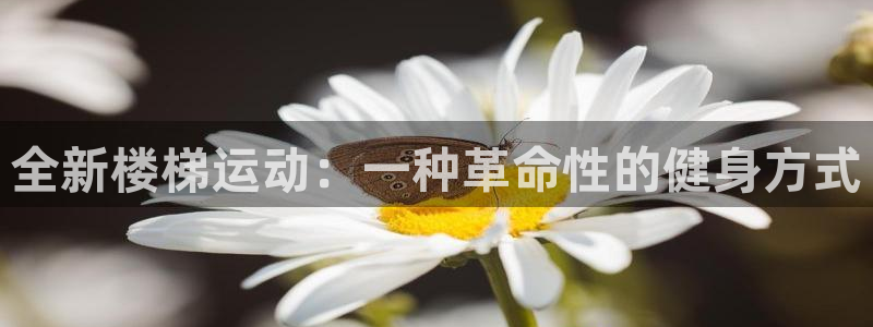 凯捷体育官方