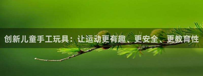 凯捷体育平台注册要钱吗安全吗：创新儿童手工玩具：让运
