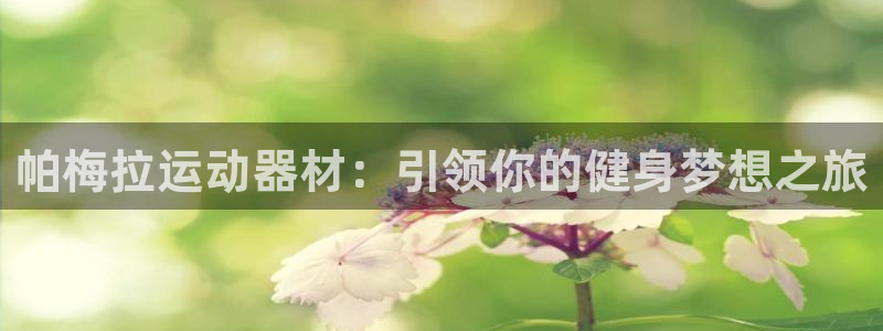 凯捷体育官网：帕梅拉运动器材：引领你的健身梦想之旅