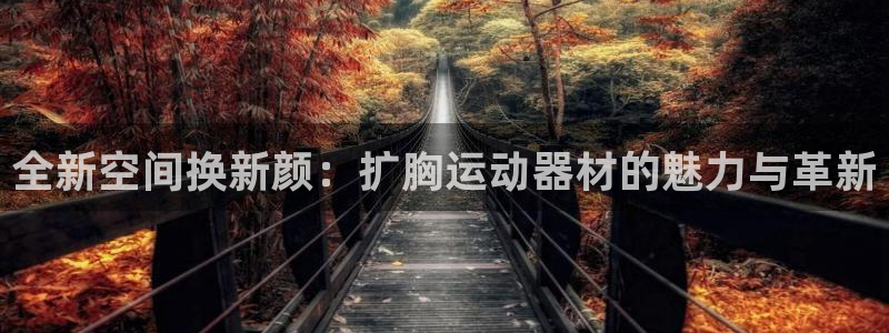 凯捷体育平台是正规平台吗安全吗：全新空间换新颜：扩胸