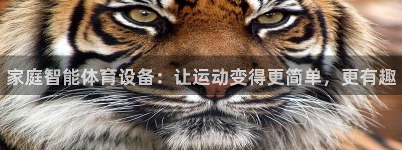 凯捷体育娱乐代理怎么样：家庭智能体育设备：让运动变得