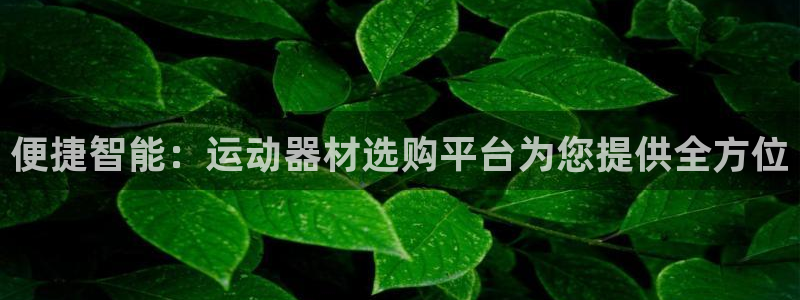 凯捷体育科技：便捷智能：运动器材选购平台为您提供全方