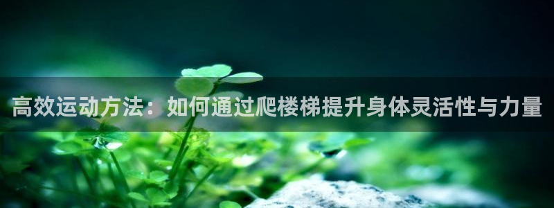 凯捷体育平台注册流程图：高效运动方法：如何通过爬楼梯