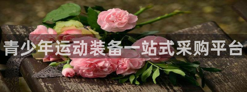 凯捷体育集团logo：青少年运动装备一站式采购平台