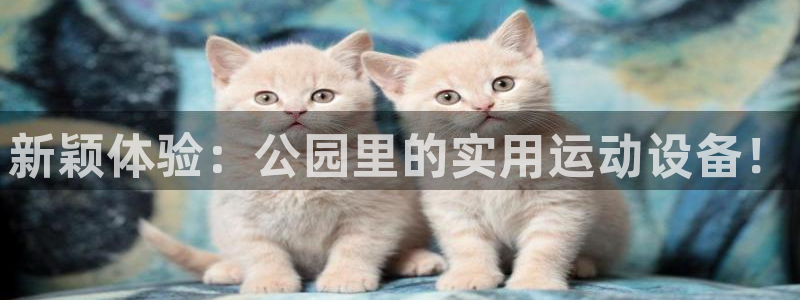 凯捷体育招商电话是多少号码：新颖体验：公园里的实用运