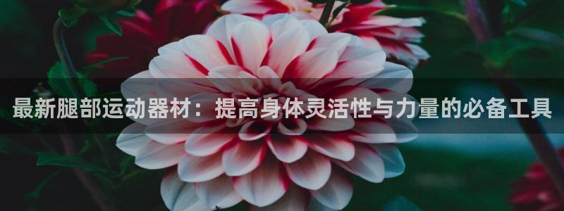 凯捷体育招商：最新腿部运动器材：提高身体灵活性与力量