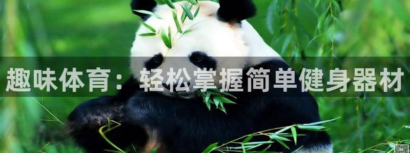 德国凯捷体育集团：趣味体育：轻松掌握简单健身器材
