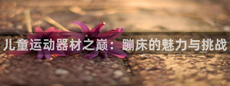 凯捷体育招商电话号码查询：儿童运动器材之巅：蹦床的魅