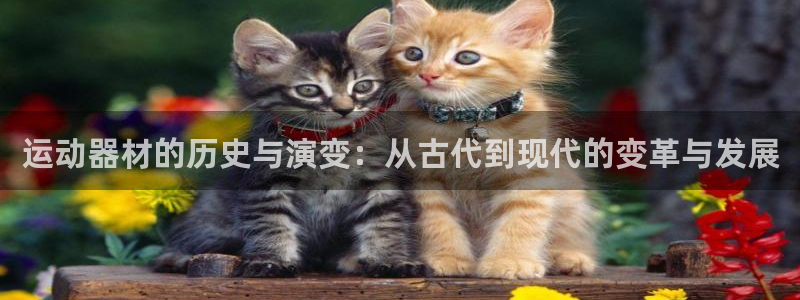 凯捷体育集团：运动器材的历史与演变：从古代到现代的变革与发展
