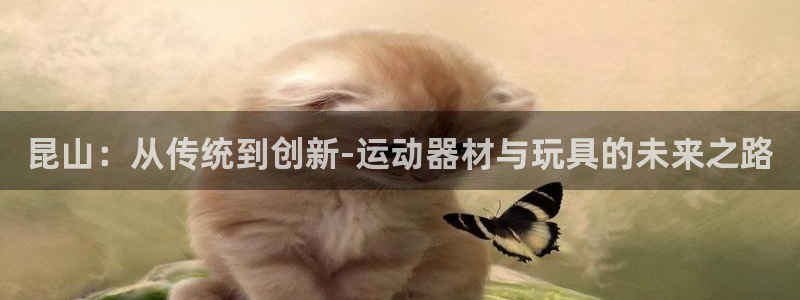 凯捷体育平台是正规平台吗：昆山：从传统到创新-运动器材与玩具