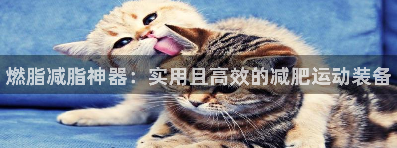 注册凯捷体育：燃脂减脂神器：实用且高效的减肥运动装备