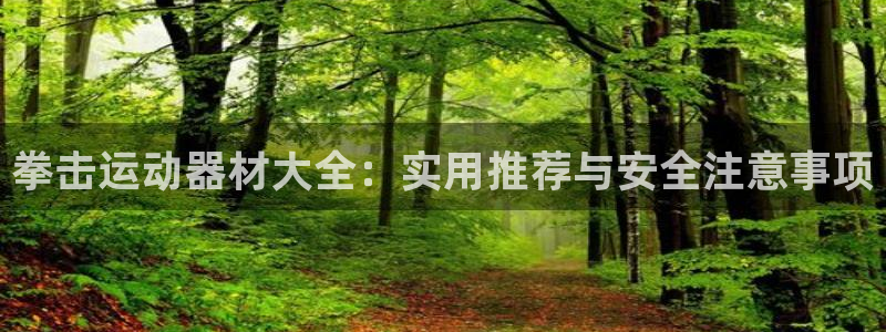 意昂平台体育：拳击运动器材大全：实用推荐与安全注意事项