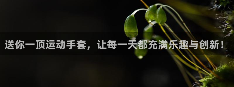 凯捷体育招商电话是多少