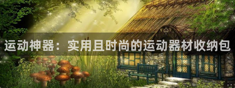 凯捷体育平台是正规平台吗：运动神器：实用且时尚的运动器材收纳