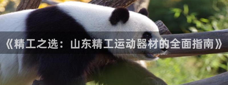 凯捷体育联系电话：《精工之选：山东精工运动器材的全面指南》