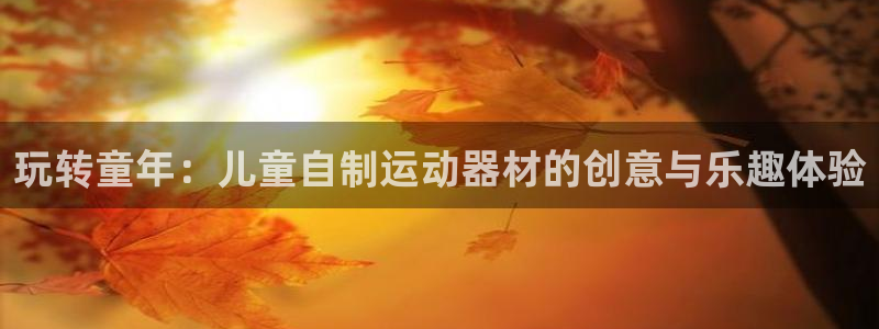 凯捷体育平台假的吗是真的吗：玩转童年：儿童自制运动器