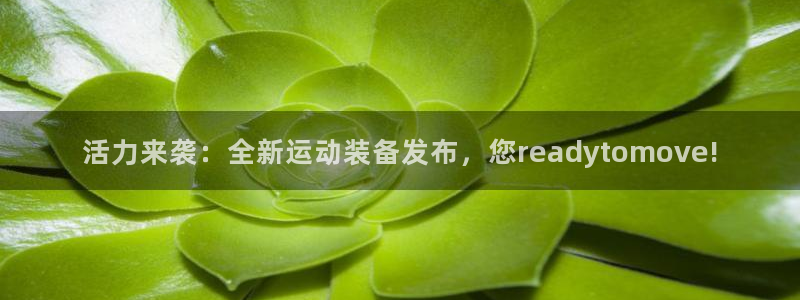 凯捷体育科技：活力来袭：全新运动装备发布，您read