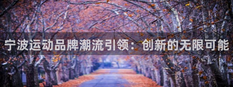 凯捷体育招商：宁波运动品牌潮流引领：创新的无限可能
