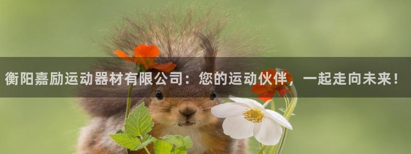 凯捷体育招商电话地址查询：衡阳嘉励运动器材有限公司：