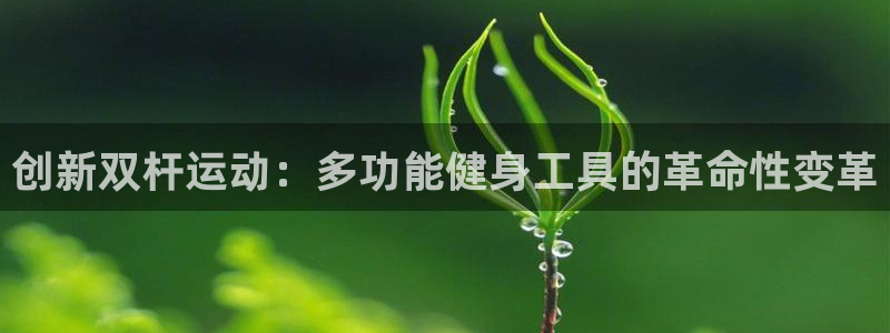 凯捷体育集团logo：创新双杆运动：多功能健身工具的
