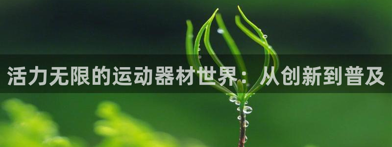 凯捷体育平台假的吗是真的吗：活力无限的运动器材世界：
