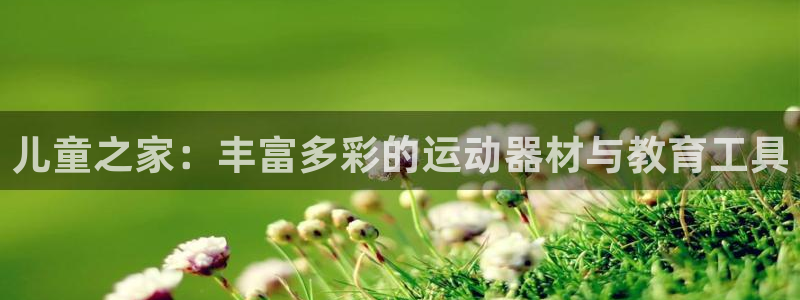 海南凯捷体育发展怎么样：儿童之家：丰富多彩的运动器材与教育工