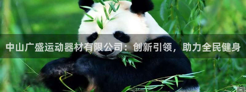 凯捷体育娱乐首页网站大全