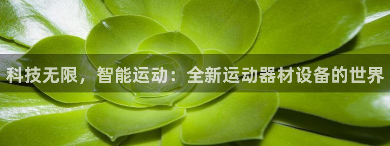 凯捷体育集团官网首页：科技无限，智能运动：全新运动器材设备的