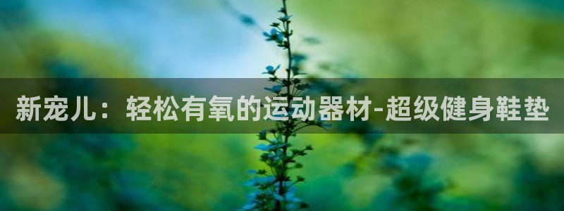 凯捷体育平台假的吗是真的吗吗：新宠儿：轻松有氧的运动器材-超