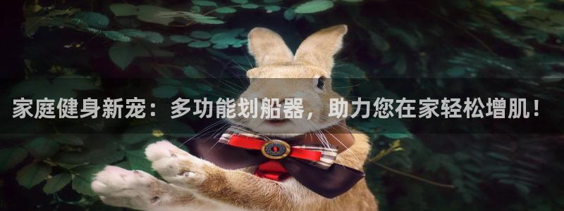 凯捷体育娱乐首页官网下载：家庭健身新宠：多功能划船器，助力您