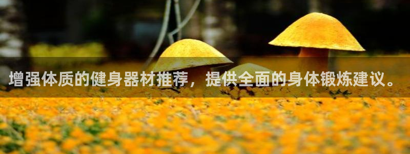 凯捷体育集团官网网址：增强体质的健身器材推荐，提供全